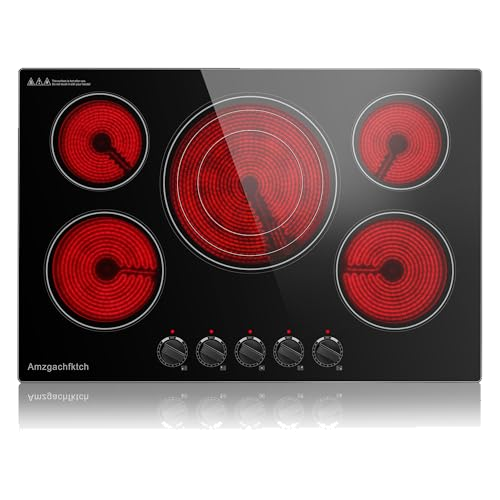 Amzgachfktch Electric Cooktop